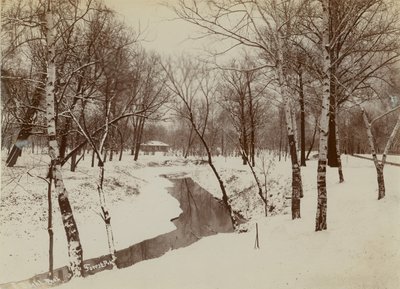 Winterszene im Forest Park mit Bach, der durch den Schnee schneidet von Emil Boehl